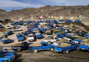 قاچاق سوخت در محاصره سیاست‌های هوشمندانه وزارت نفت