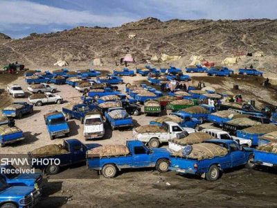 قاچاق سوخت در محاصره سیاست‌های هوشمندانه وزارت نفت