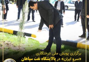 برگزاری پویش ملی درختکاری «سرو_ایران» در پالایشگاه نفت سپاهان همزمان با روز جهانی زمین پاک