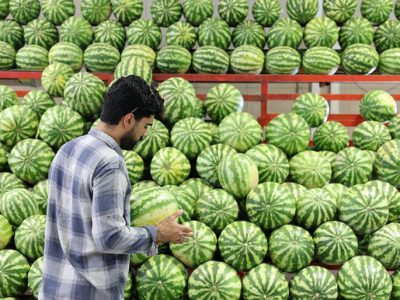 اختلاف قیمت ۴۰ درصدی میوه در میادین و بازارهای میوه و تره‌بار به نسبت سطح شهر