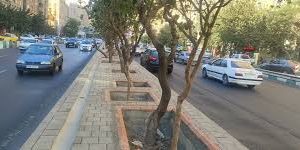 امتداد معبر آفرین در طرشت بازگشایی شد/ بنبست قدیمی آفرین بازگشایی شد