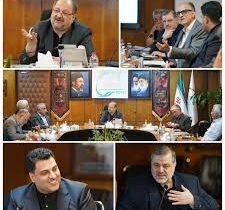 برگزاری نشست بررسی مسیرهای تامین برق مجتمعهای منطقه ویژه پتروشیمی ماهشهر به میزبانی هلدینگ خلیج فارس