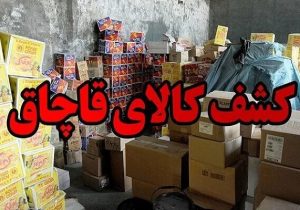کشف انبار ۸ میلیارد تومانی سرخکنهای قاچاق در جنوب تهران/ بیش از هزار دستگاه توقیف شد