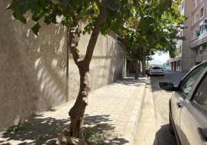 اجرای عملیات نوسازی گسترده معابر و زیرساخت‌های محله بهشتی در منطقه ۲۰