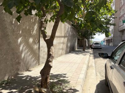 اجرای عملیات نوسازی گسترده معابر و زیرساخت‌های محله بهشتی در منطقه ۲۰